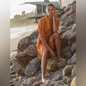 Trovata Birds of Paradis Orange Cotton Sun Dress - Phoebe Dress Turmeric